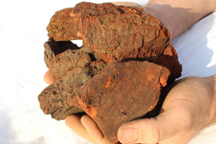 Premium Maritime Pine Bark 45mm+ Premium Topsoil Supplies